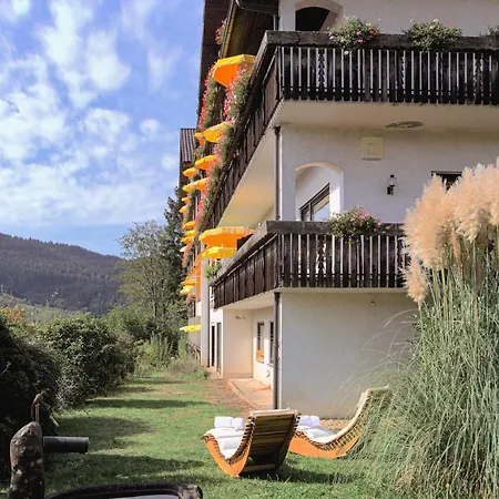 Hotel Schauinsland Bad Peterstal-Griesbach Exterior photo