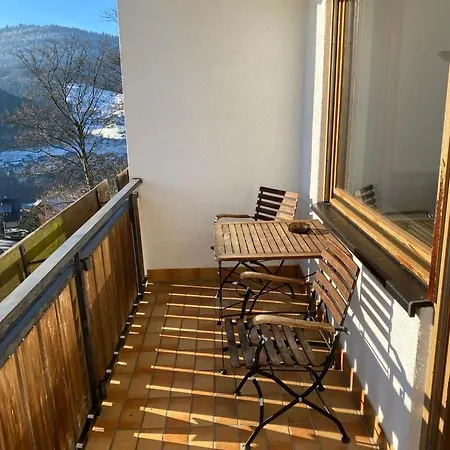 Hotel Schauinsland Bad Peterstal-Griesbach Exterior photo