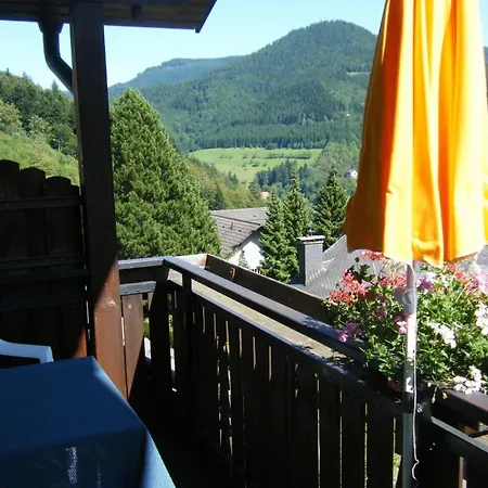 Hotel Schauinsland Bad Peterstal-Griesbach Room photo