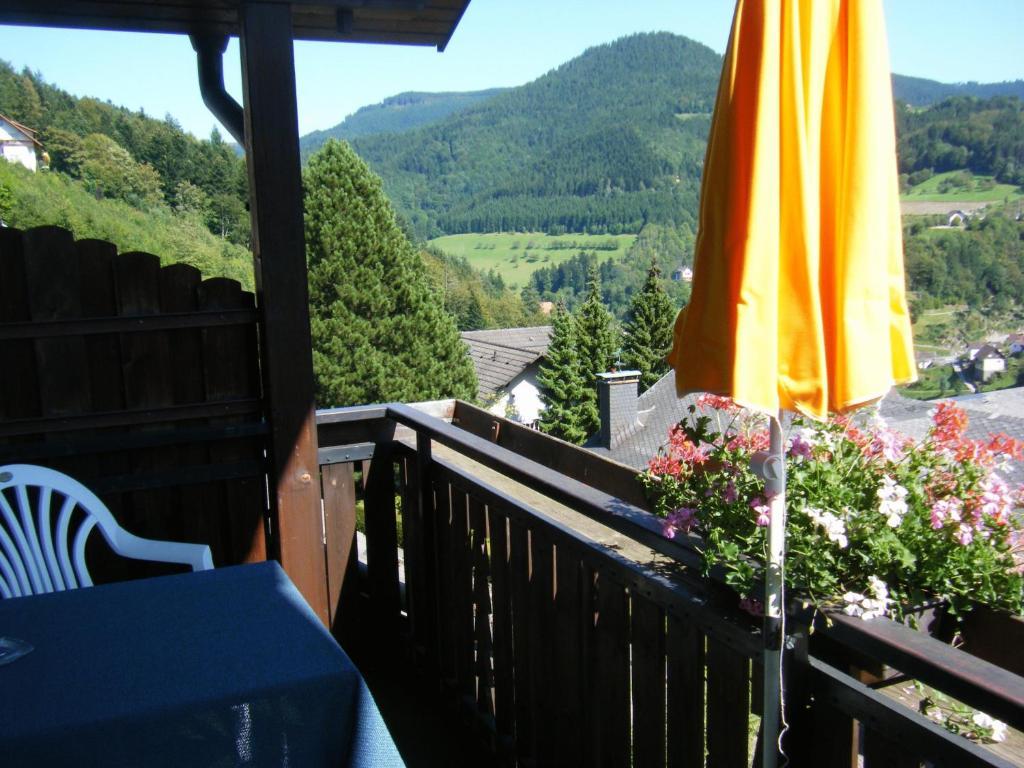 Hotel Schauinsland Bad Peterstal-Griesbach